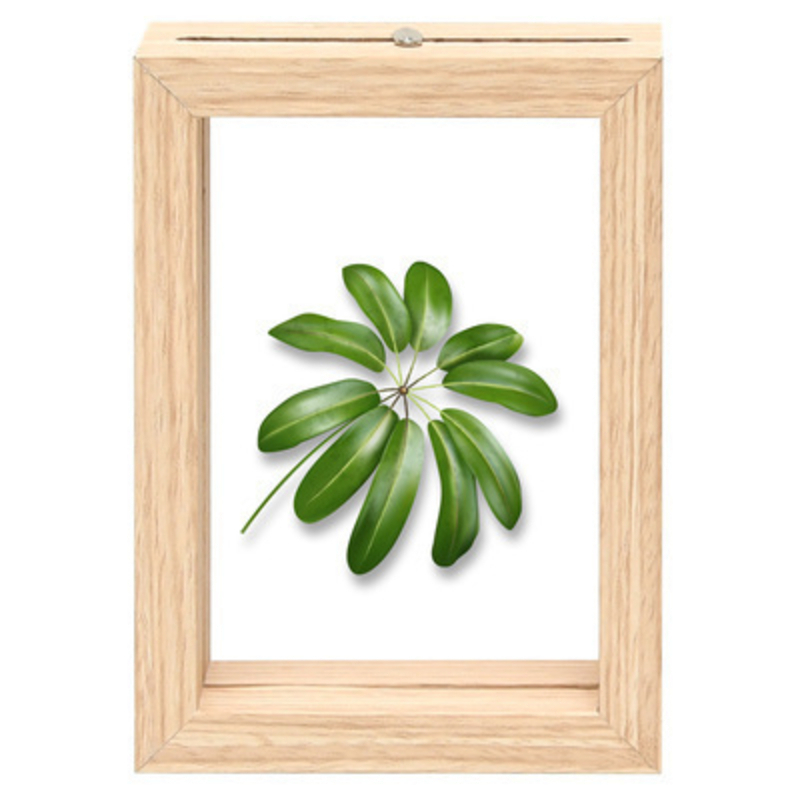 Floating frame with beautiful palm leaf design made by Fallen Fruits.  This stylish picture frame would look lovely with any decor and would add a touch of tropical vibe to any home.  A perfect gift for an avid gardener. Size - Small: 10.7 x 4.1 x 5cm